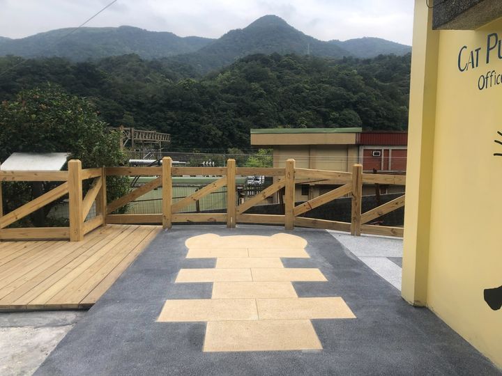 ▲趣味貓咪跳格子。　圖：新北市政府動物保護防疫處／提供