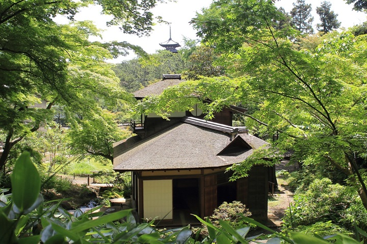 在日本庭園三溪園中欣賞古建築的新綠絶景。　圖：橫濱市／提供
