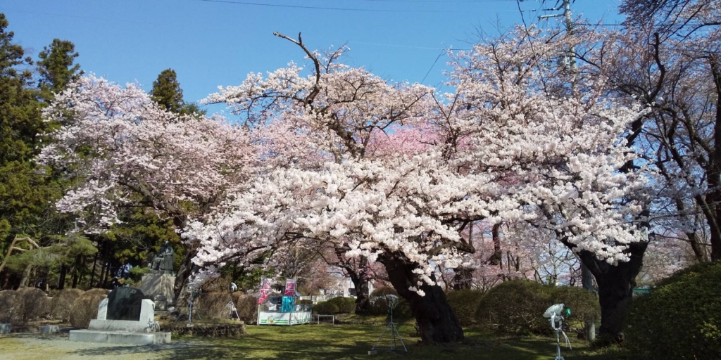 ▲水澤公園。　圖：岩手好好玩官方粉絲團／提供