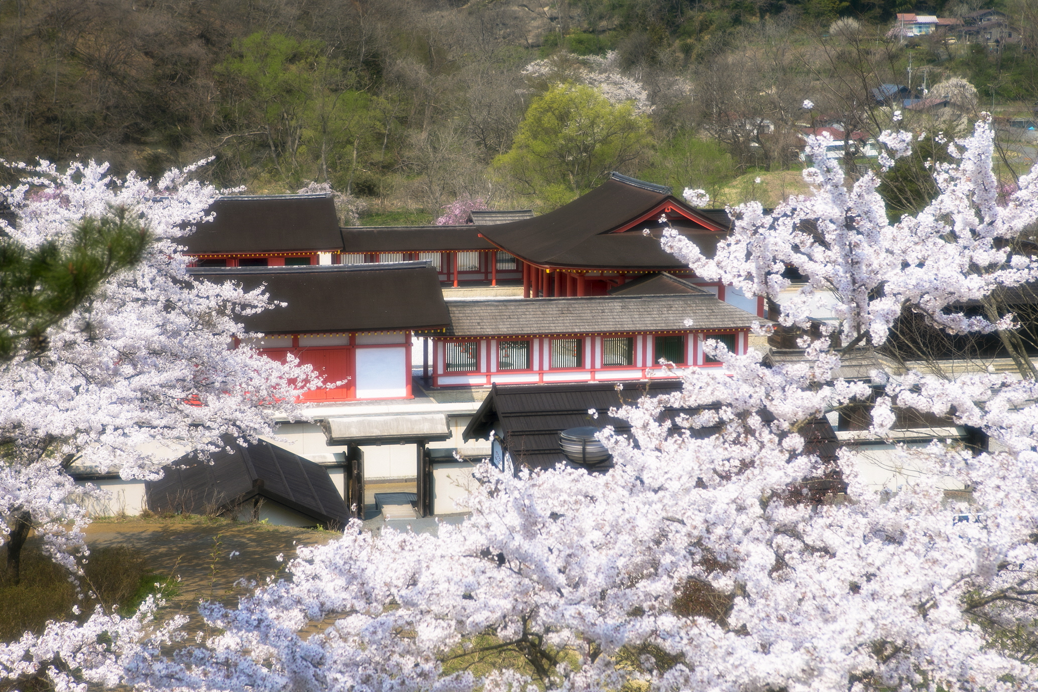 ▲歷史公園江刺藤原之鄉。　圖：岩手好好玩官方粉絲團／提供