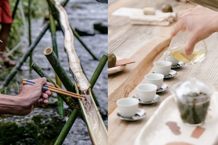  「茶山繚療」週末開聊 坪林包種茶流水麵線超特別 