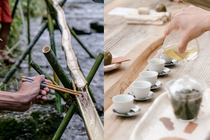 「茶山繚療」週末開聊 坪林包種茶流水麵線超特別