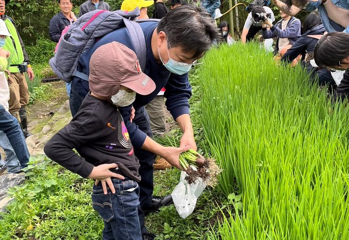 ▲小旅行可體驗下田採摘珠蔥。　圖：新北市政府農業局／提供