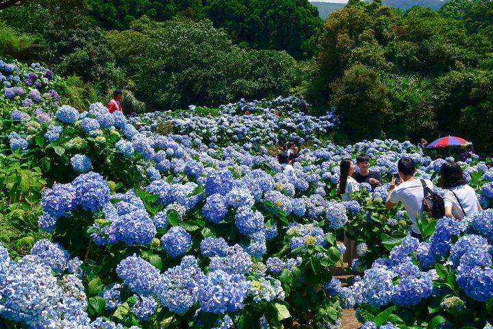  臺中國際旅展臺北館推低碳永續小旅行 限定優惠大放送 