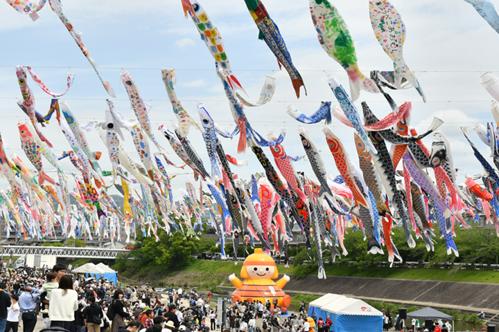 來去阪府高槻市看1千條鯉魚旗在空中飛！　圖：高槻市／提供
