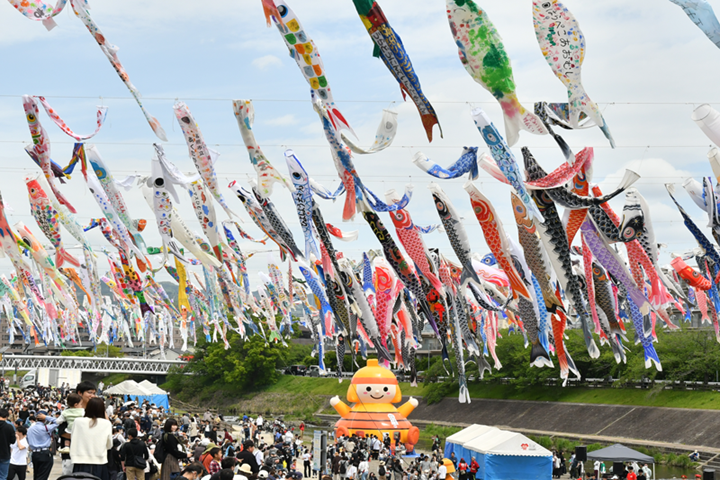 1000條鯉魚旗在空中游泳！大阪高槻市最美夏日風物詩今天登場