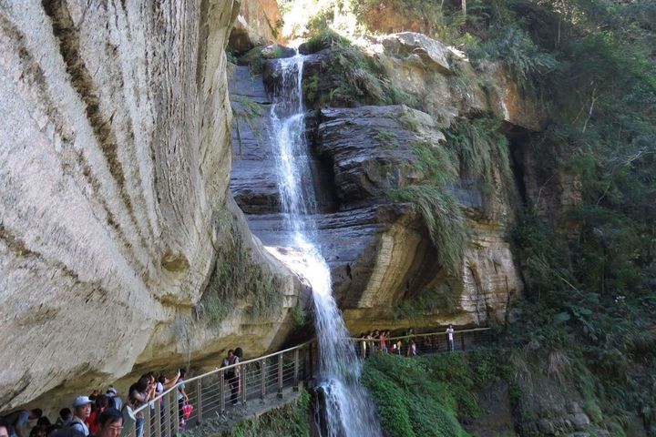 嘉義瑞峰遊必探三景：瀑布觀奇、竹林漫遊、茶園賞景