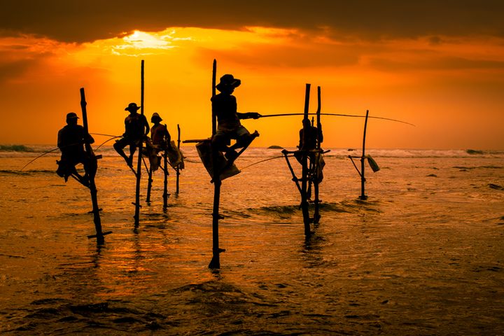 ▲斯里蘭卡獨特景觀－海上立釣。　圖：shutterstock／來源 