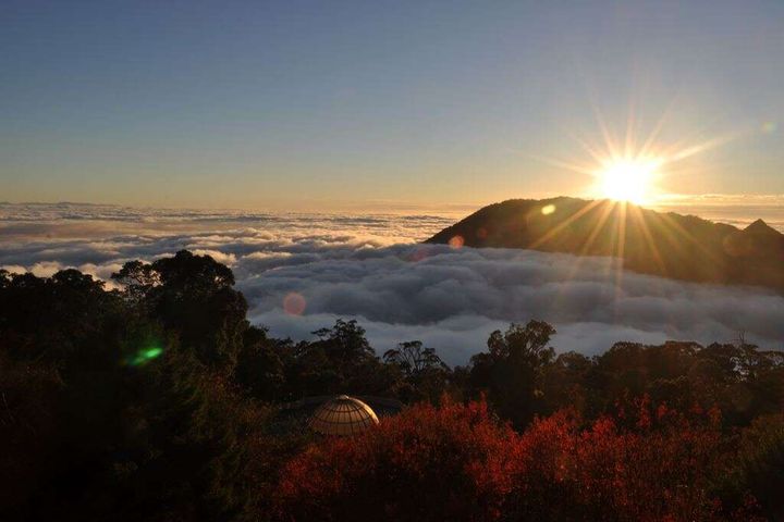 大雪山國家森林遊樂區。　圖：台中市政府觀光旅遊局／提供