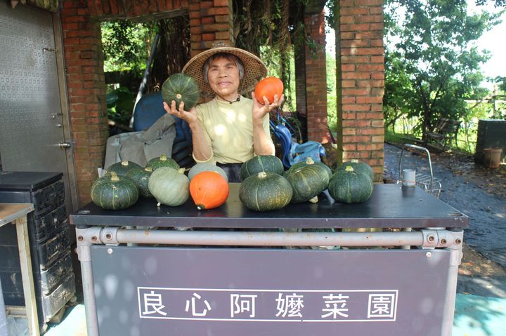 ▲「屯山阿嬤」謝簡素年年種出色彩繽紛的的南瓜。　圖：新北市政府農業局 ／提供