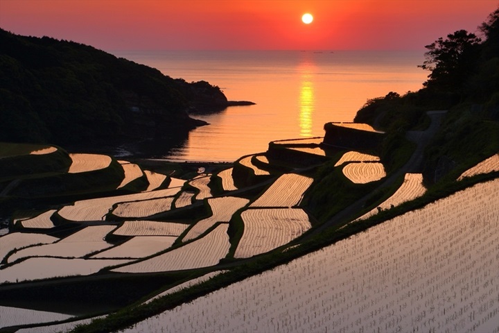 濱野浦梯田的夕照美麗無比。　圖：佐賀縣觀光連盟／提供