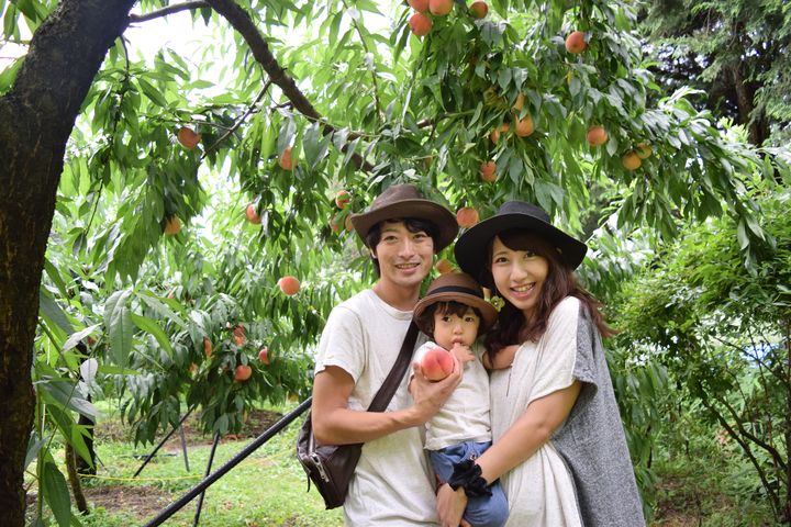 ▲親子出遊安排樂趣滿滿的採果體驗。　圖：喜鴻假期／提供
