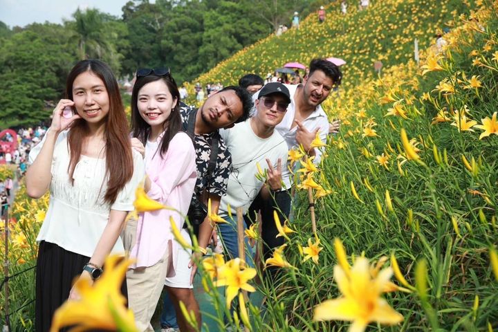 ▲虎山巖賞金針花遊客。　圖：參山國家風景區管理處／提供