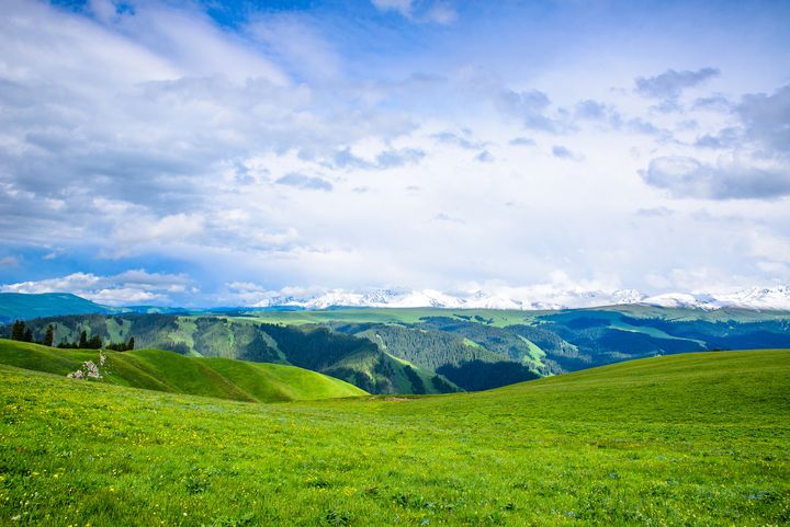 ▲新疆喀拉峻草原，有森林、峽谷、雪峰、河流與草甸，是天然優質大草原。　圖：shutterstock／來源