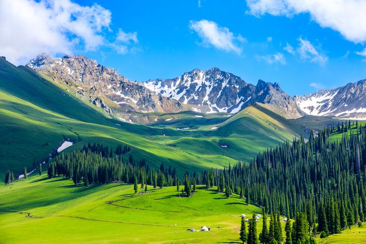 ▲新疆伊犁那拉提草原，雪山與森林草原交織優美景色。　圖：shutterstock／來源