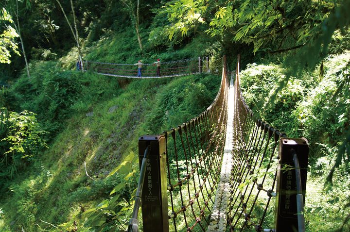 梨山地區—希利克步道。　圖：參山國家風景區管理處／提供 