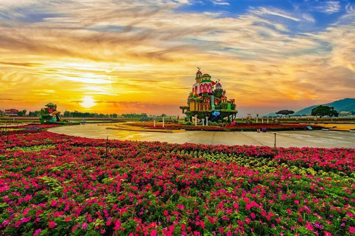 ▲11月至12月台中國際花毯節。　圖：台中市政府觀光旅遊局／提供