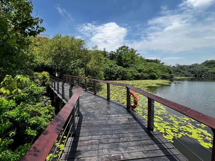 ▲鳥松濕地木棧步道以低干擾方式進行環境優化。　圖：高雄市政府觀光局／提供
