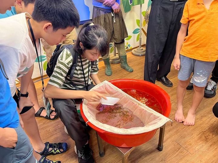 ▲遊客體驗數魚苗。　圖：台南市政府觀光旅遊局／提供