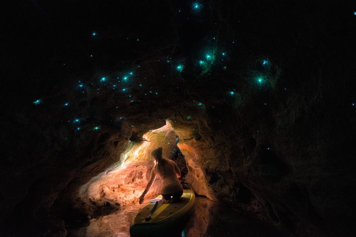 ▲最燦爛的地底星河，住著魔幻精靈的螢火蟲洞！　圖：紐西蘭觀光局／提供