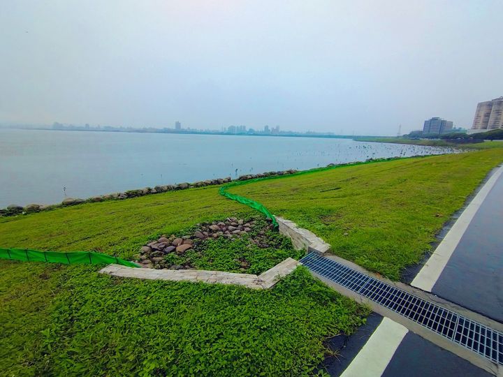 ▲陸蟹經水溝通道沿帆布至河邊產卵。　圖：新北市政府水利局／提供