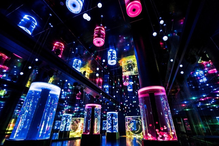 ▲品川水族館內的展示，聲光效果十足。　圖：©maxell AQUA PARK SHINAGAWA／提供