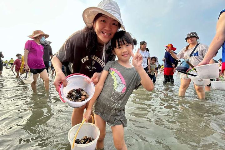 最受歡迎的挖文蛤體驗。　圖：臺南市政府觀光旅遊局／提供