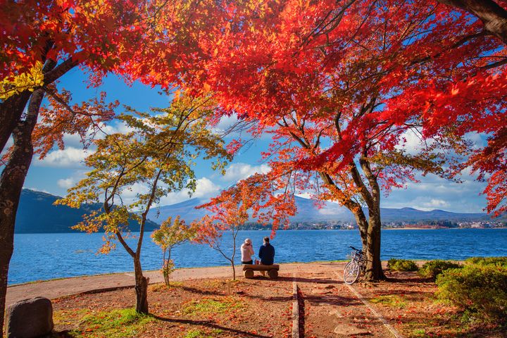 秋季日本的楓葉景致令人沉醉，圖為河口湖令人震懾的浪漫美景。　圖：喜鴻假期／提供