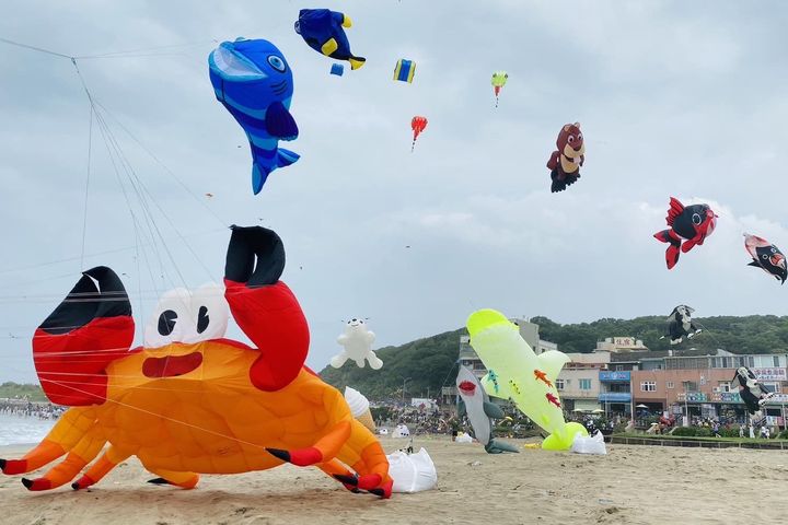 ▲新北 GO Travel－夏季系列活動「2024新北市北海岸國際風箏節」。　圖：新北市政府觀光旅遊局／提供