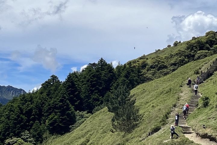 ▲合歡山海拔高、氣溫低，是想遠離平地酷熱天氣的登山旅遊民眾絕佳選擇。　圖：農業部林業及自然保育署／提供