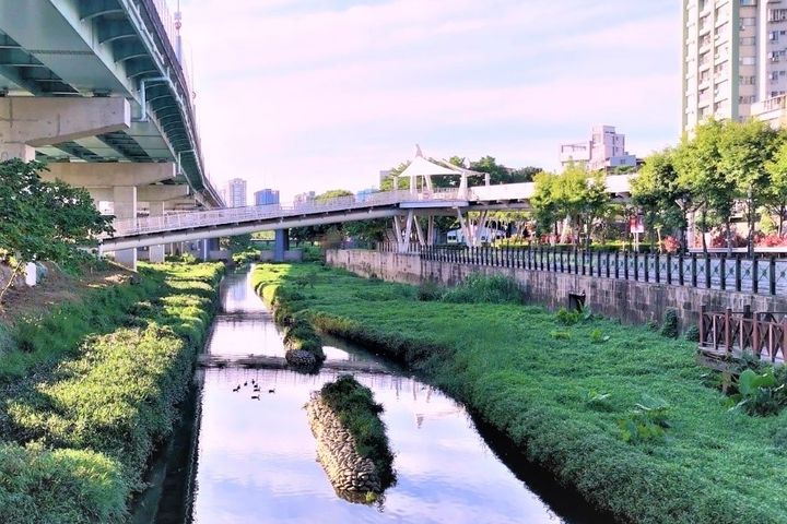 湳仔溝渠底綠意盎然。　圖：新北市政府水利局／提供