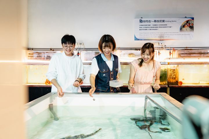 ▲探秘體驗親手餵食可愛小鯊魚。　圖：國立海洋生物博物館／提供