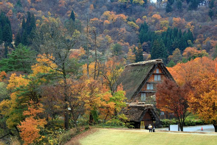 ▲秋日的合掌村別有寧靜典雅的氛圍。　圖：shutterstock／來源