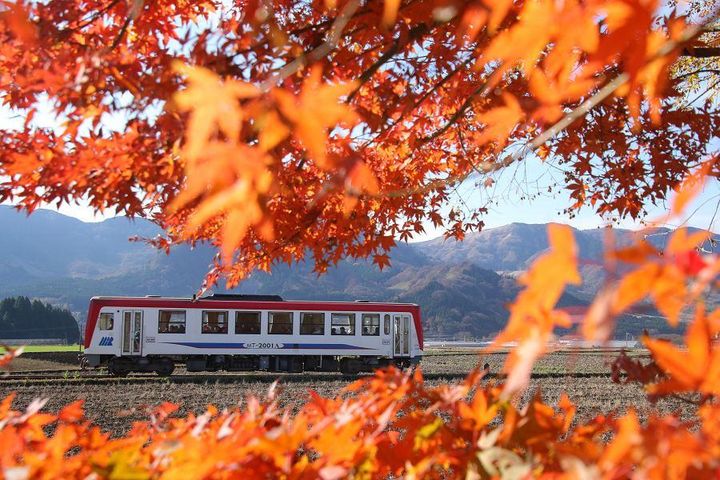 ▲南阿蘇鐵道小火車，是大人、小孩都喜愛的行程。　圖：東南旅遊／提供