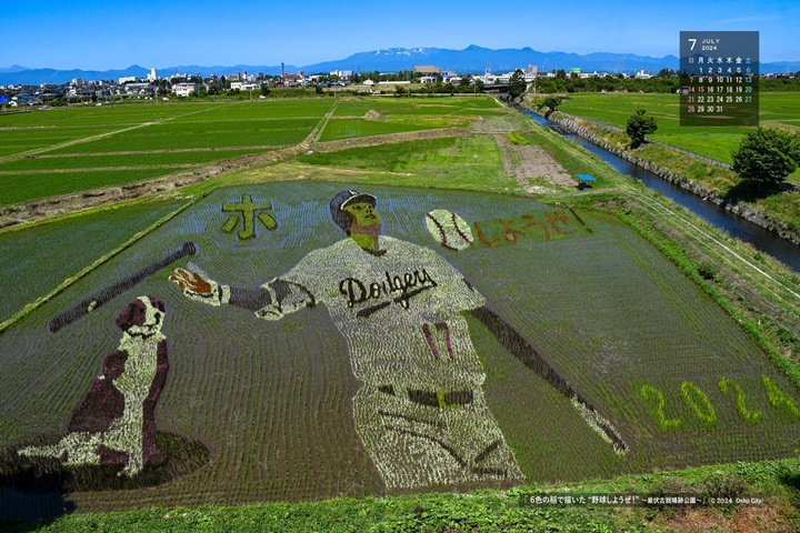 即日起到8月上旬歡迎來岩手縣奧州市欣賞大谷翔平稻田藝術。　圖：奧州市／提供