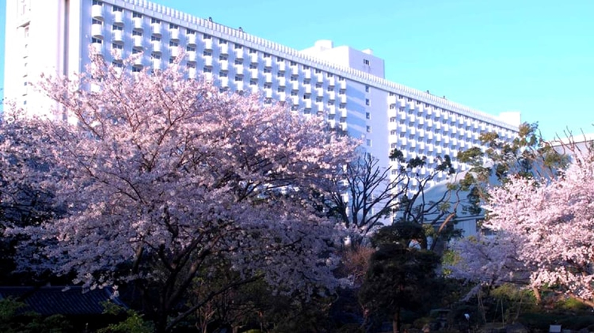 ▲位於東京品川的「新高輪格蘭王子大飯店」，不僅擁有多種類型的客房，更坐享於佔地約 2 公頃的日式花園之中。　圖：樂天旅遊／提供