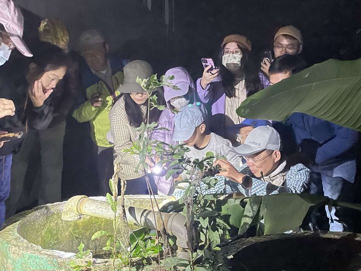 ▲夜探池南的活動可充分感受山林的寧靜之美。　圖：林業及自然保育署花蓮分署／提供