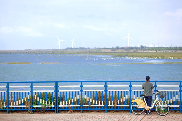 ▲高美自行車道。　圖：台中市政府觀光旅遊局／提供