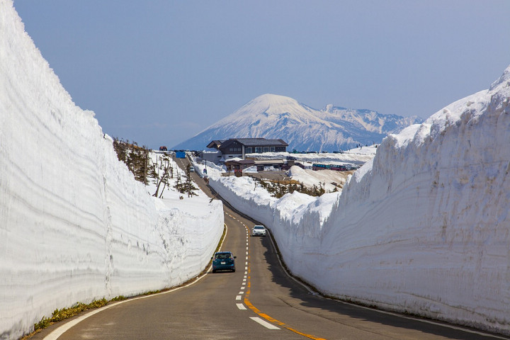 「八幡平雪之迴廊」全長約27公里，從4月開山一直到黃金周都能欣賞。　圖：岩手縣／提供