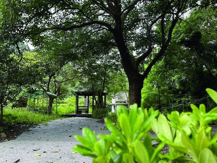 ▲「漫遊山海線－十三層親水公園」提供無障礙通行環境，營造兼具生態與全齡使用之休憩空間。　圖：新北市政府／提供