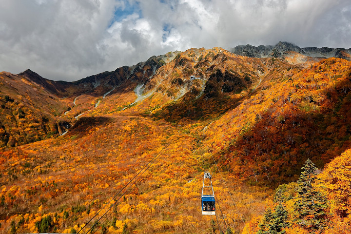 立山黑部的紅葉觀賞期長達近2個月，為日本第一。　圖：向日遊顧問有限公司／提供