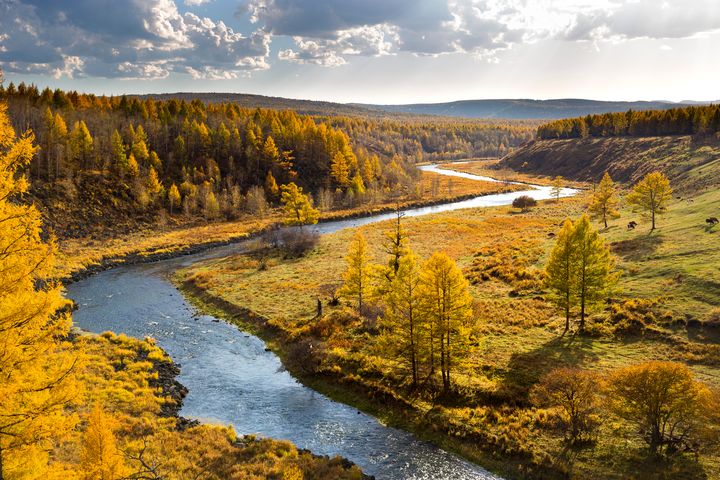 ▲內蒙古阿爾山美麗秋景。　圖：shutterstock／來源
