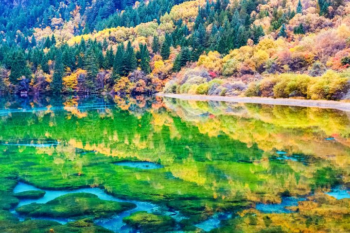▲九寨歸來不看水，秋天的九寨溝美不必多言。　圖：shutterstock／來源