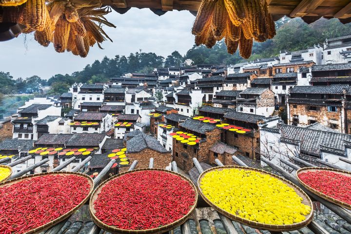 ▲婺源篁嶺旅遊區每年都會舉行曬秋節，歡慶豐收。　圖：shutterstock／來源