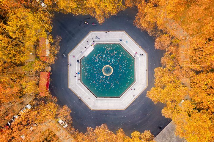 ▲南京東南大學，秋日金梧桐美景。　圖：shutterstock／來源