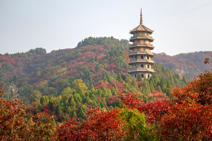 ▲濟南紅葉谷楓紅秋色與古建築相互輝映。　圖：shutterstock／來源