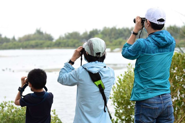 ▲雲嘉南管理處主辦的「2024台灣國際觀鳥馬拉松」是國內最具指標性的觀鳥大賽，今年邁入第12屆。　圖：雲嘉南濱海國家風景區管理處／提供