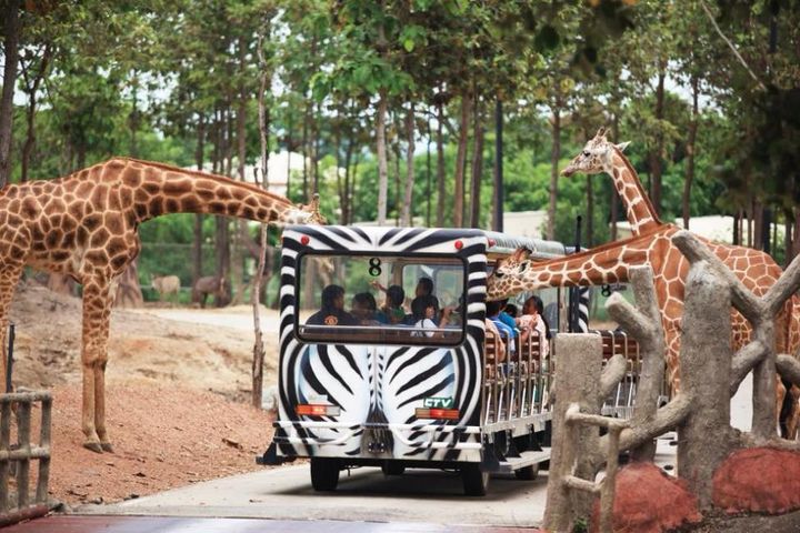 清邁夜間動物園。　圖：KKday／提供