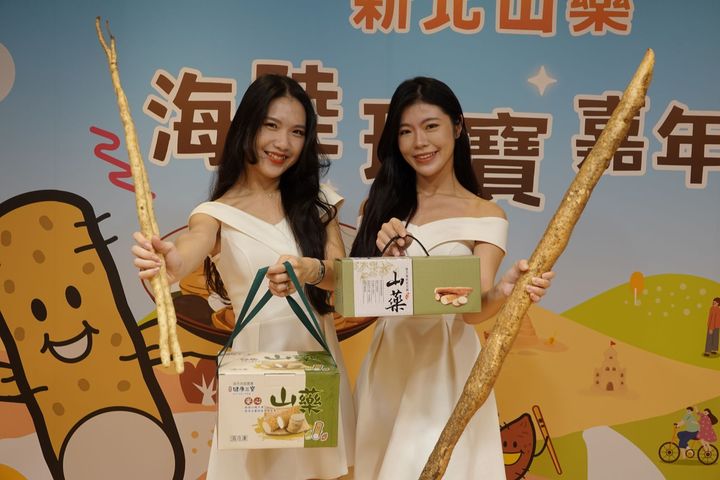 新北山藥主要種植的「基隆原生種」山藥質地細膩，入口即化，兼具滑潤與軟Q的特性。　圖：雙溪區公所／提供