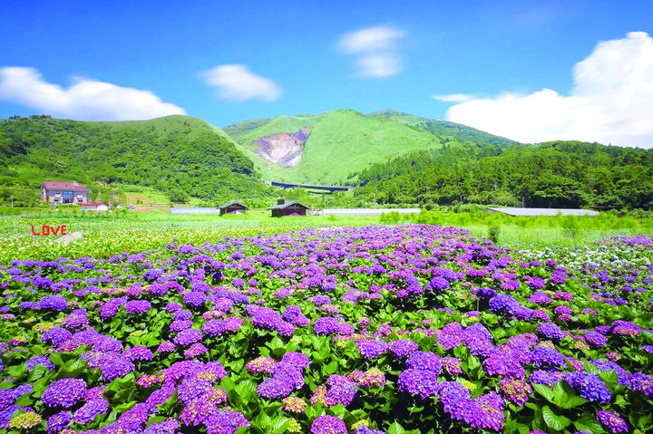 臺北市政府產業發展局持續推動「農業旅遊」，讓民眾在臺北市便能享受自然與農業之美。　圖：臺北市政府產業發展局／提供 